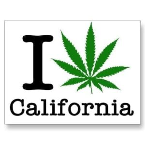 california marijuana