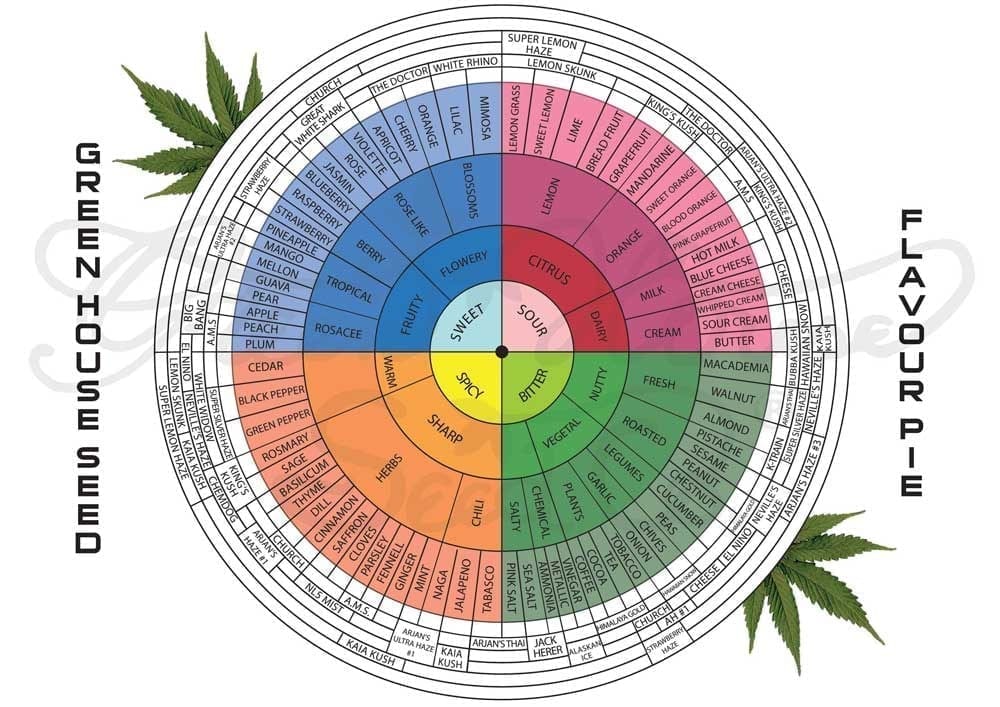 terpenes