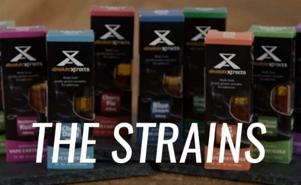 Strains Of Cartridges At ABX