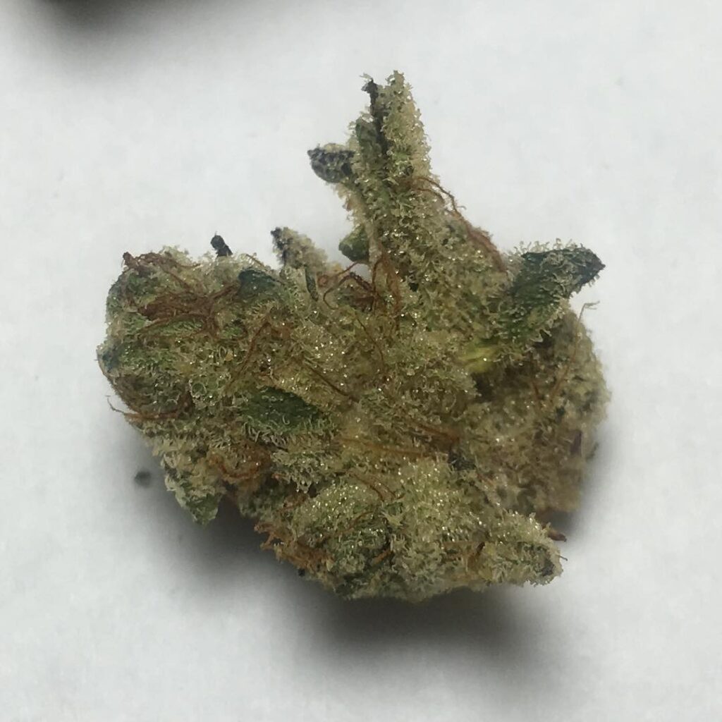 DosiDos Marijuana by Tradecraft Farms