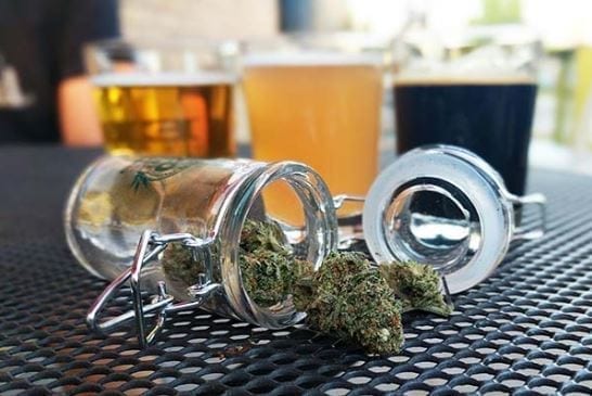 grow brewery cannabis themed tour my 420