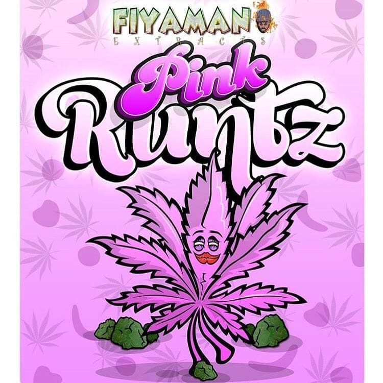 Fiyaman_pink_white_Runtz