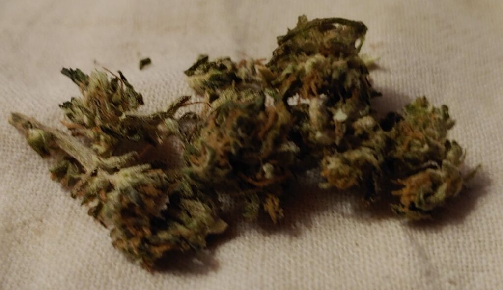 Botany-Farms-D8hemp_3