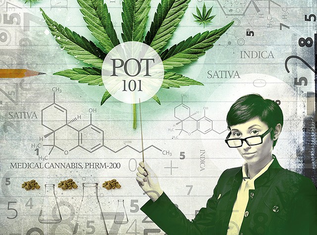 pot-101-education