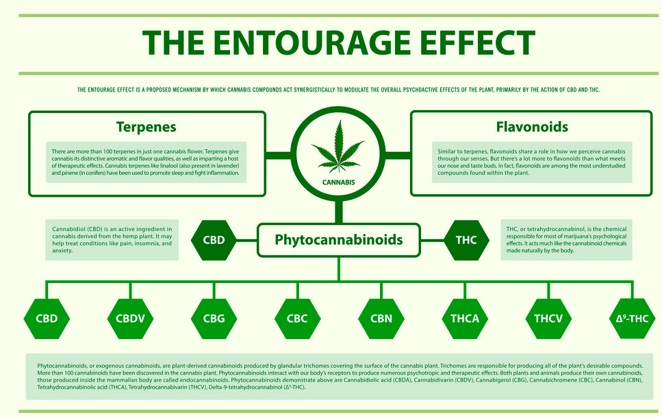 Entourage-Effect-1