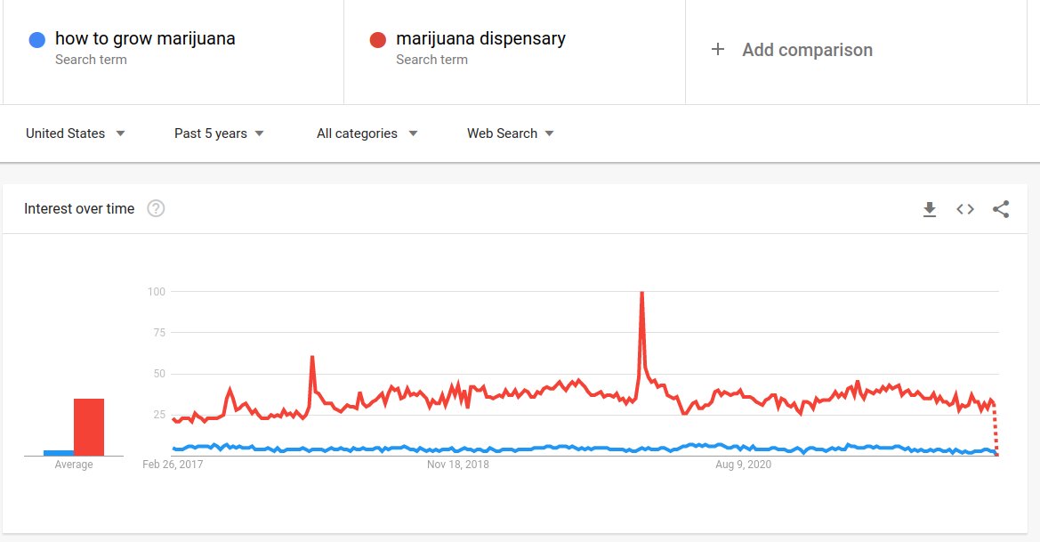 SEO-Cannabis-grow-marijuana