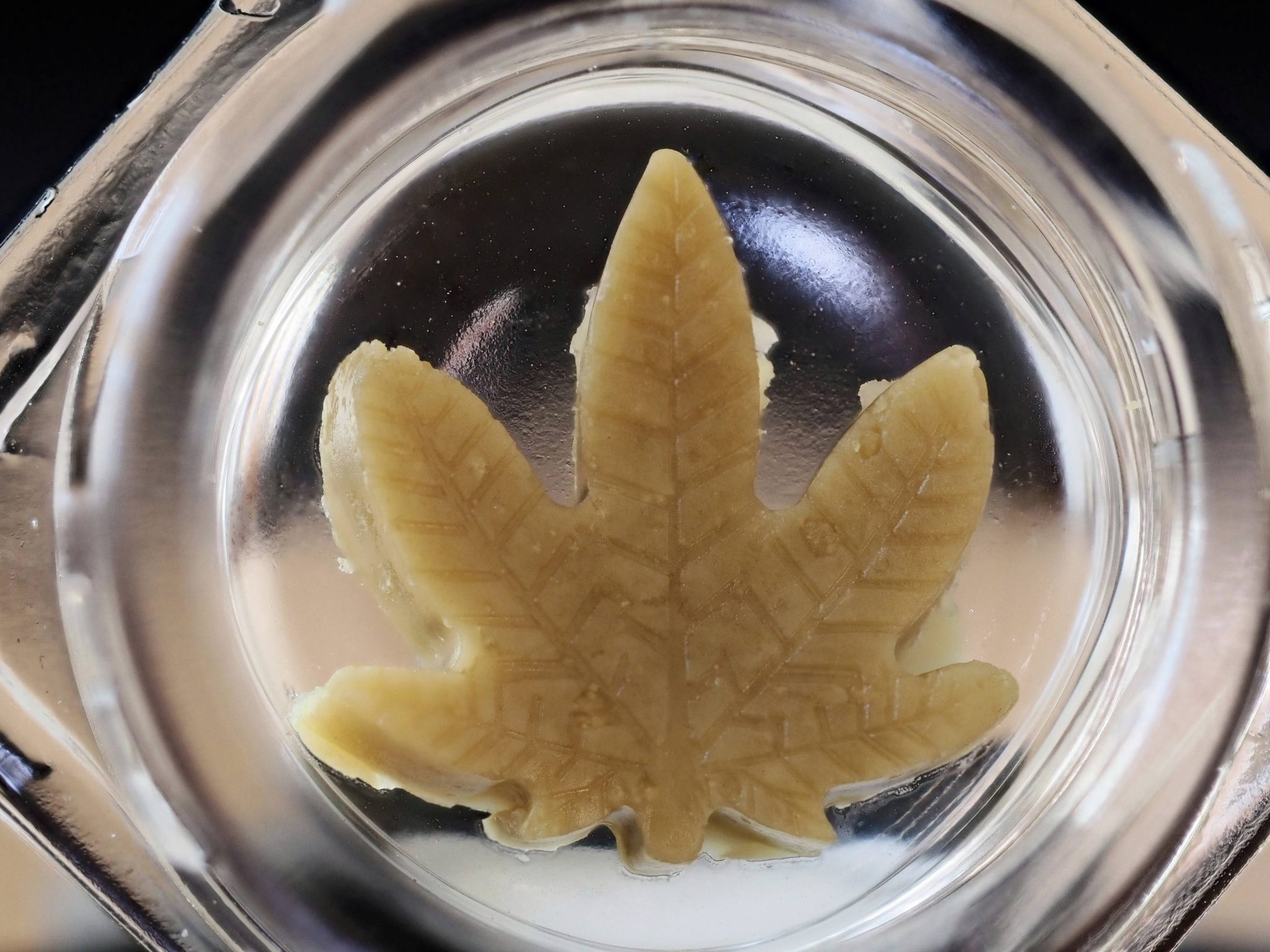 paradox magic melon rosin