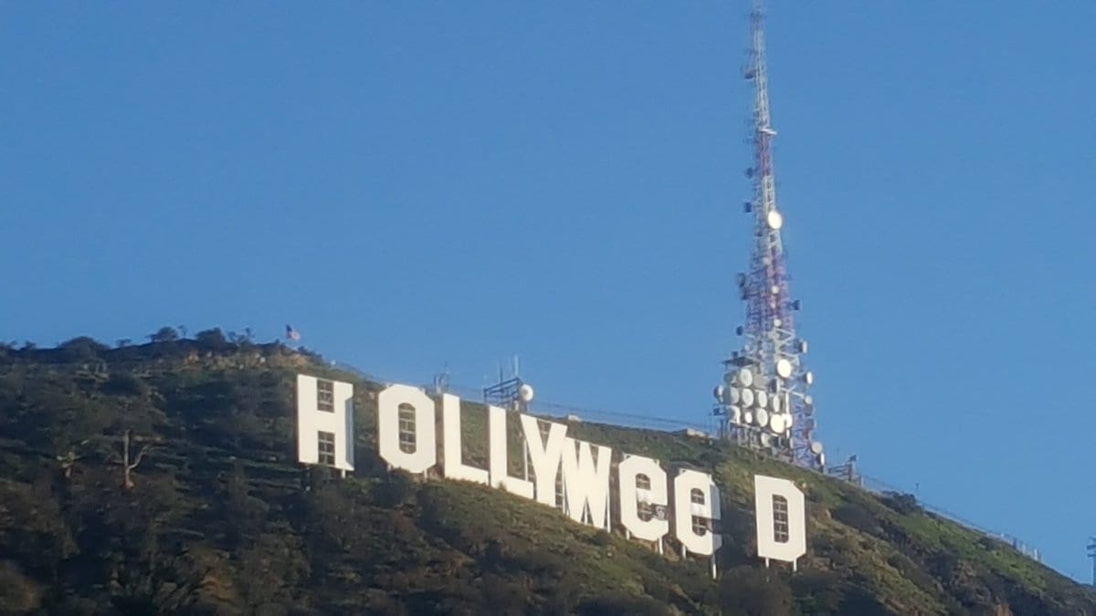 On That Hollyweed Night : In Those Hollyweed Hills