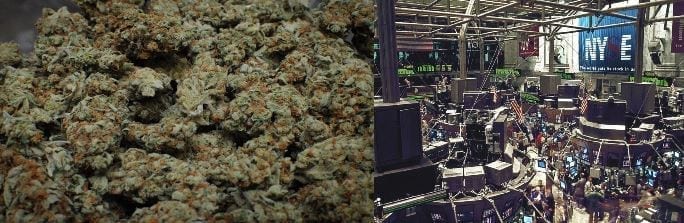 Marijuana Stocks In 2017 : Are They Grossly Overvalued?