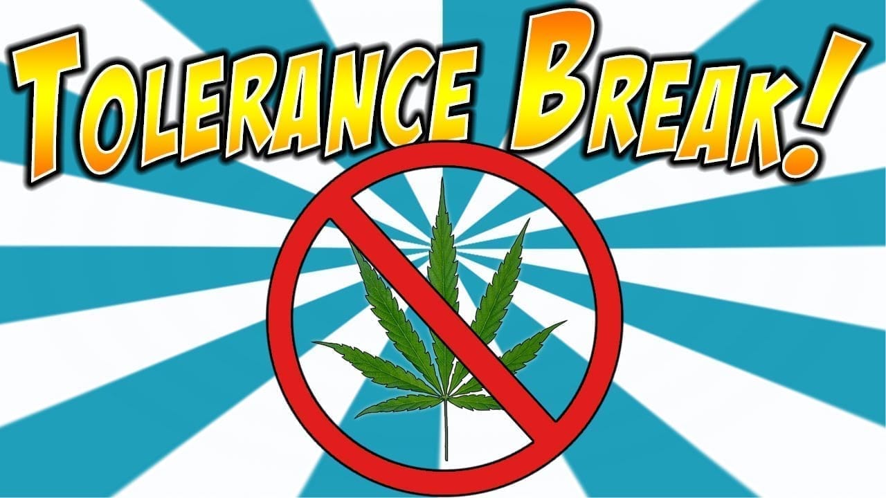 5 Tricks For Surviving a Weed Tolerance Break