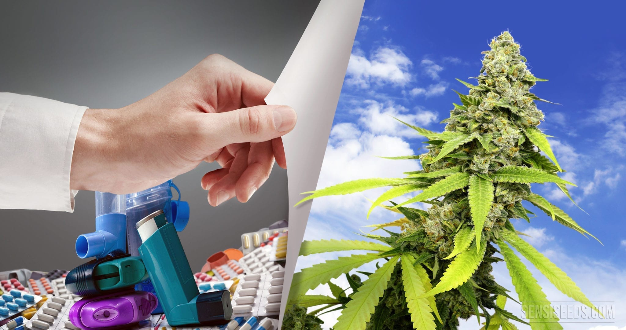 Cannabis & Asthma: 5 Amazing Things You Probably Didn’t Know