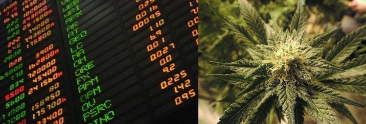 Investing In Marijuana Stocks : Will The Latest Options Turn Profit?