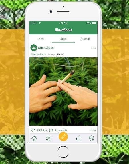 MassRoots : Company Profile, History, And Stock Value