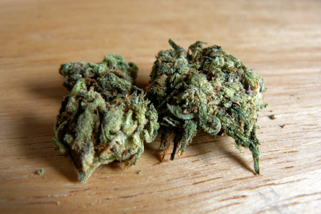 Strains : Weed Strain