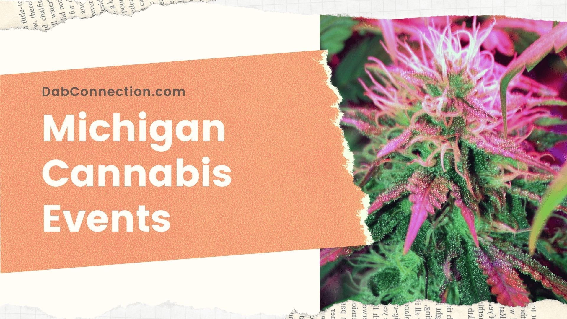 Cannabis Events in Michigan 2020