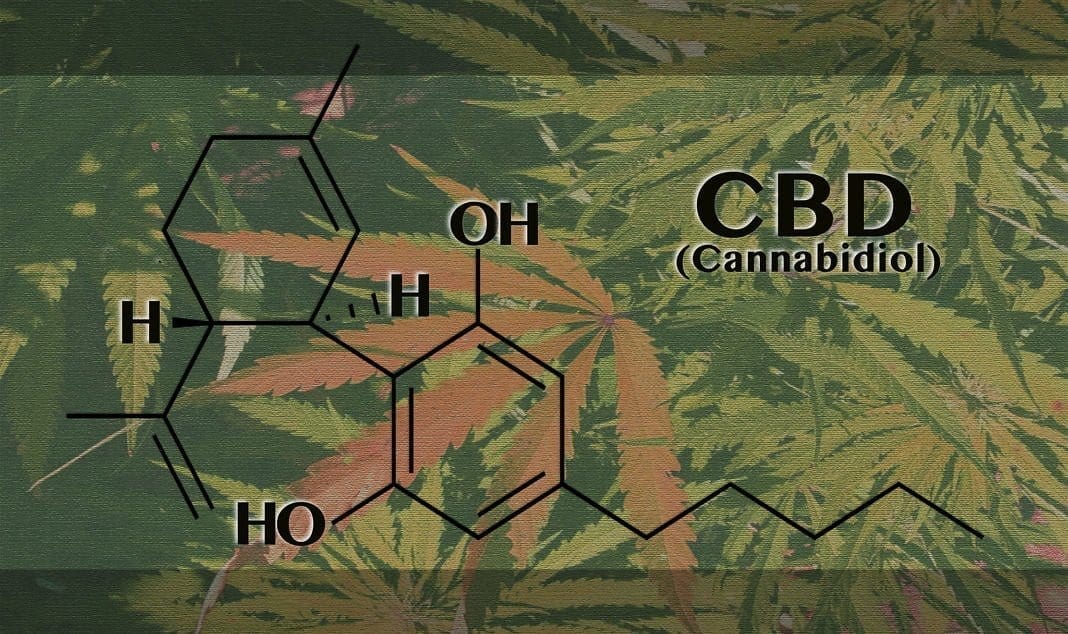 Cannabidiol – part 2