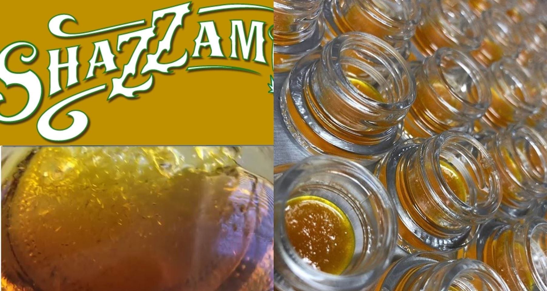 Shazzam Farms: Cannabis Growers and Extract Creators