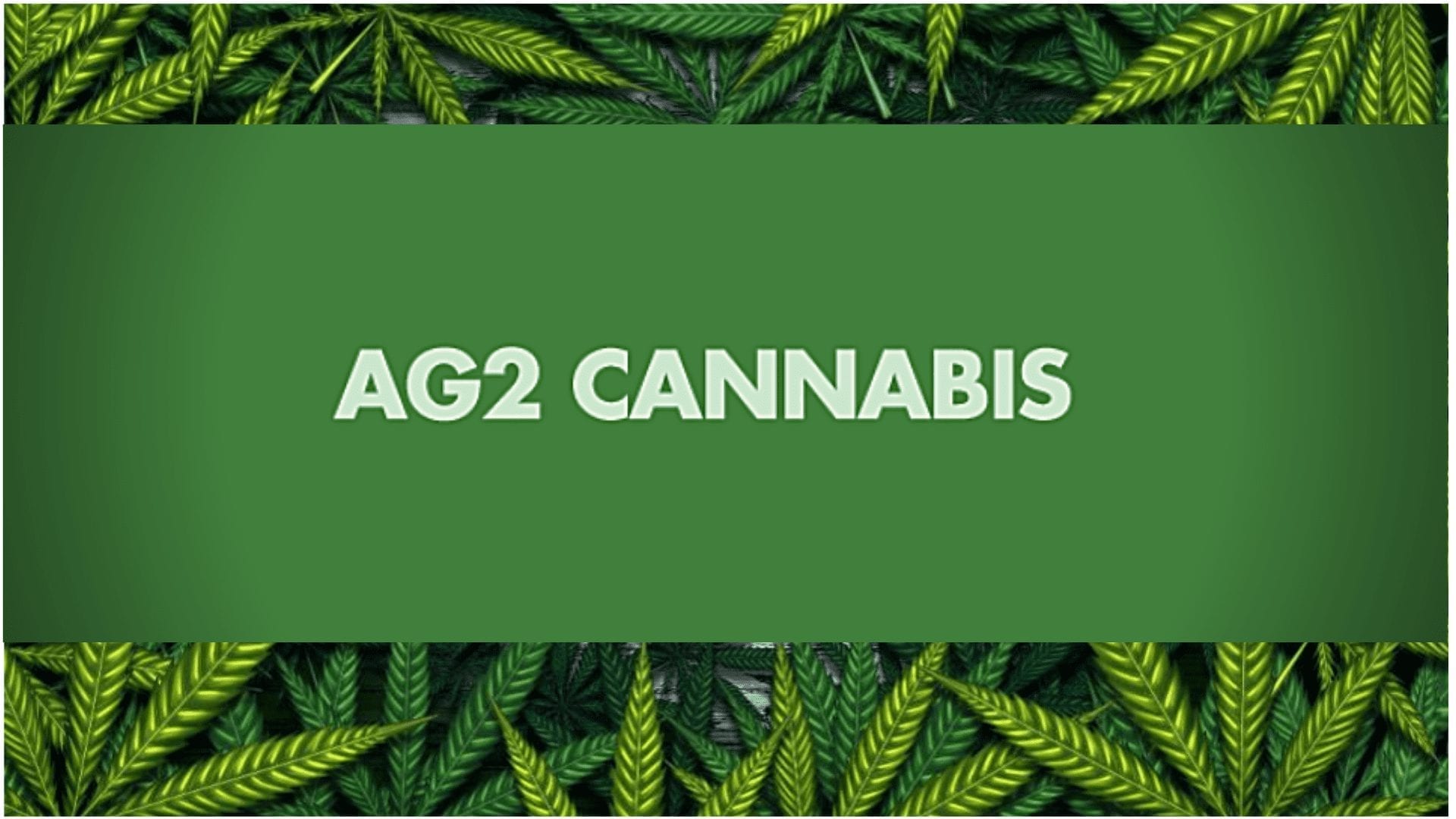 AG2 Cannabis – Visual Identity and Brand Strategies