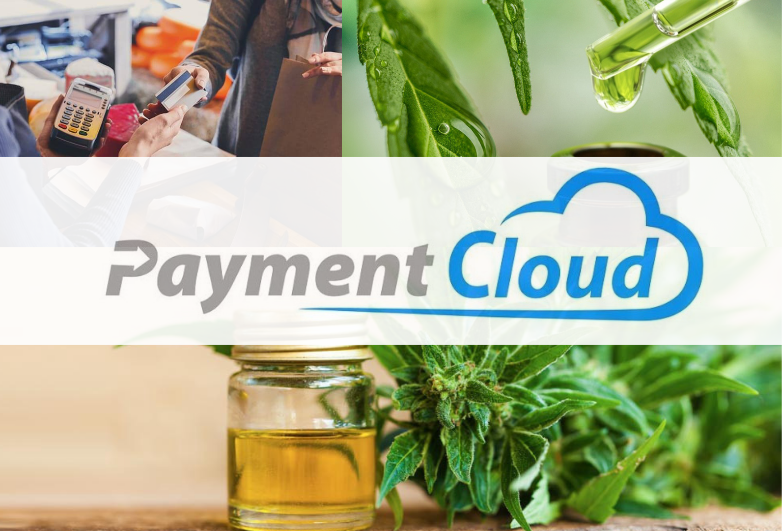 PaymentCloud CBD and High Risk Merchant Processing