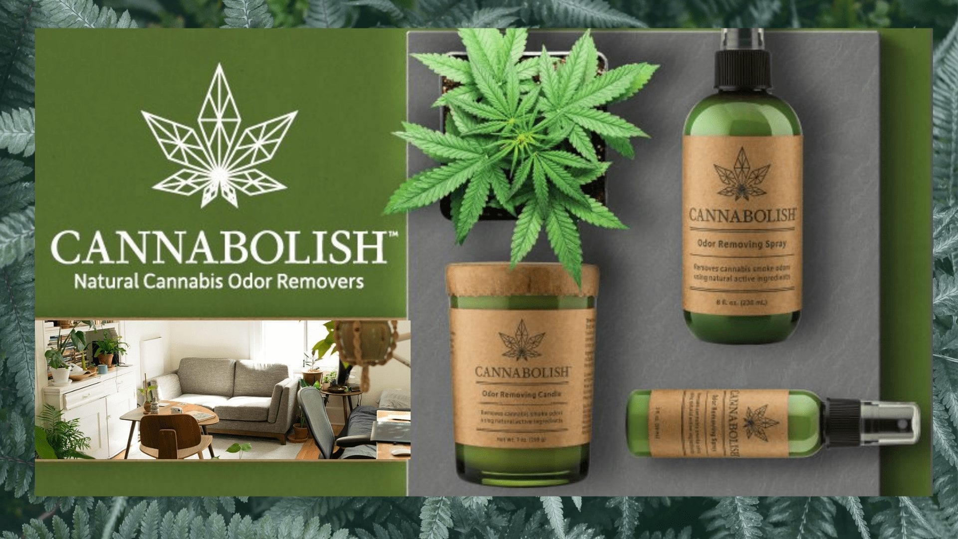 CANNABOLISH – Natural Cannabis Odor Removers