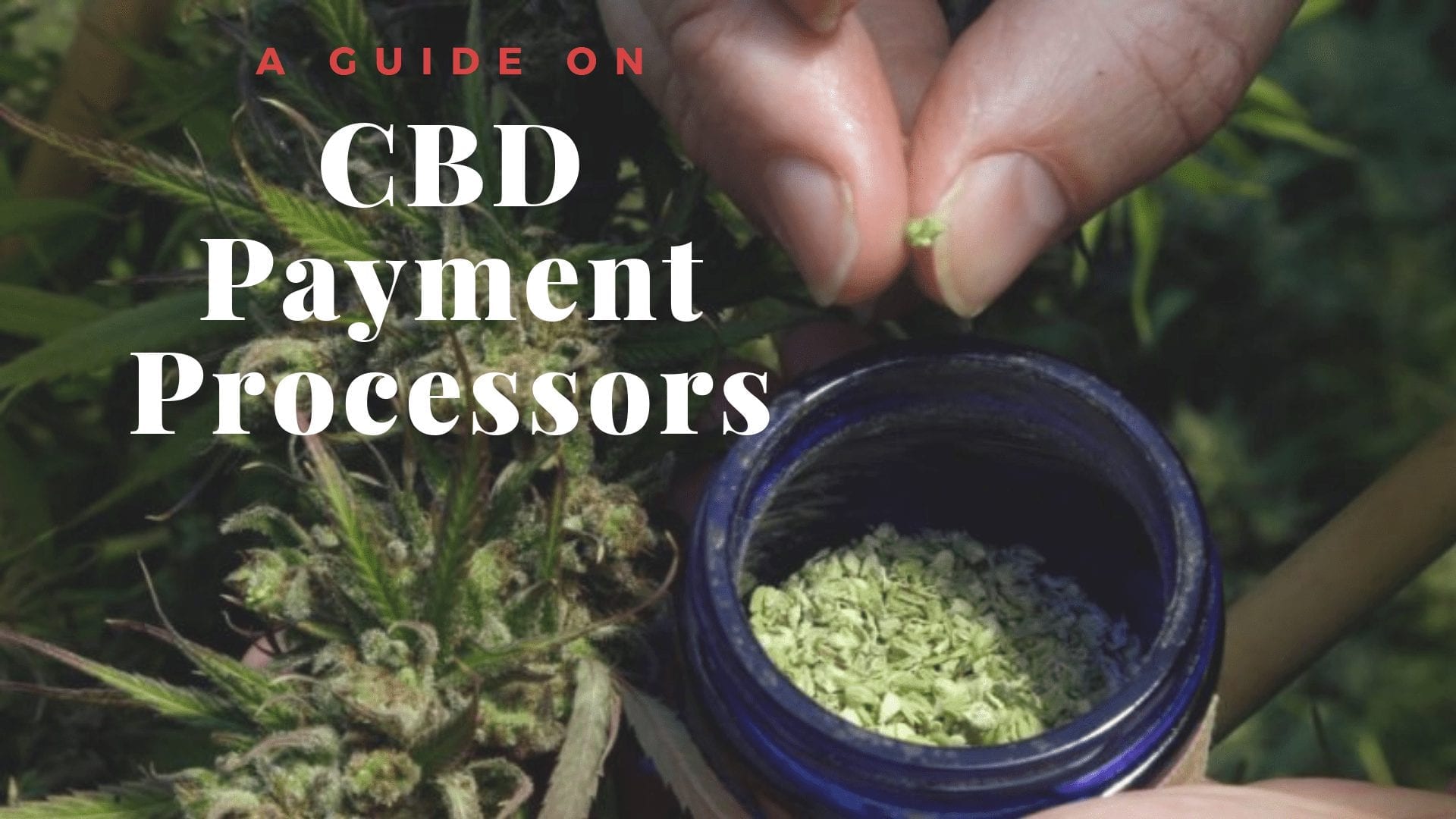 CBD Payment Processors Available in 2020