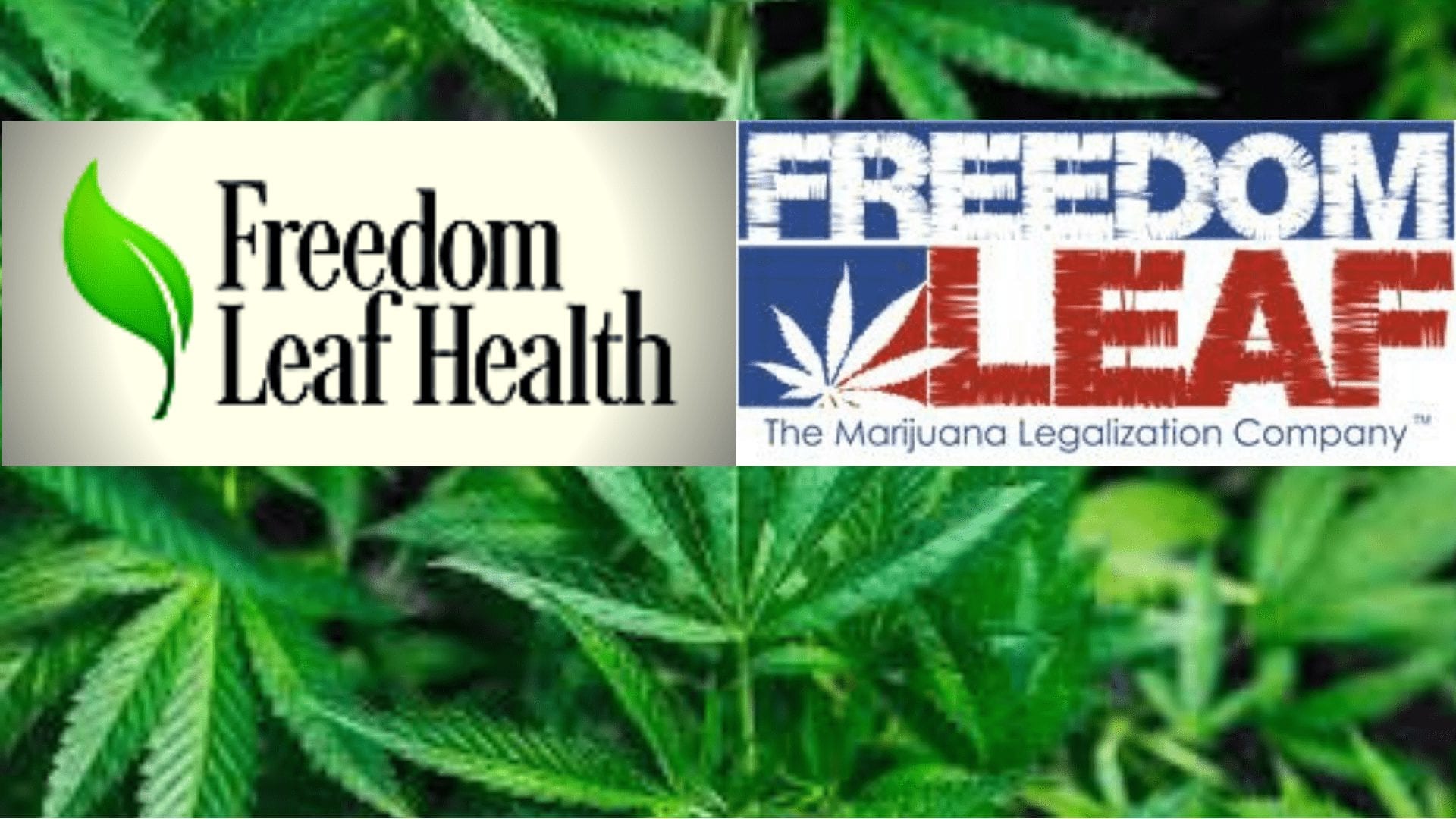 Freedom Leaf – A Clean Healthcare Company