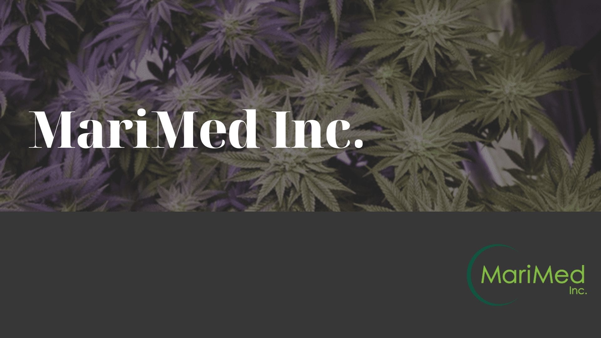 MariMed Inc. : Seed-to-Consumer Industry Consulting and Support Service