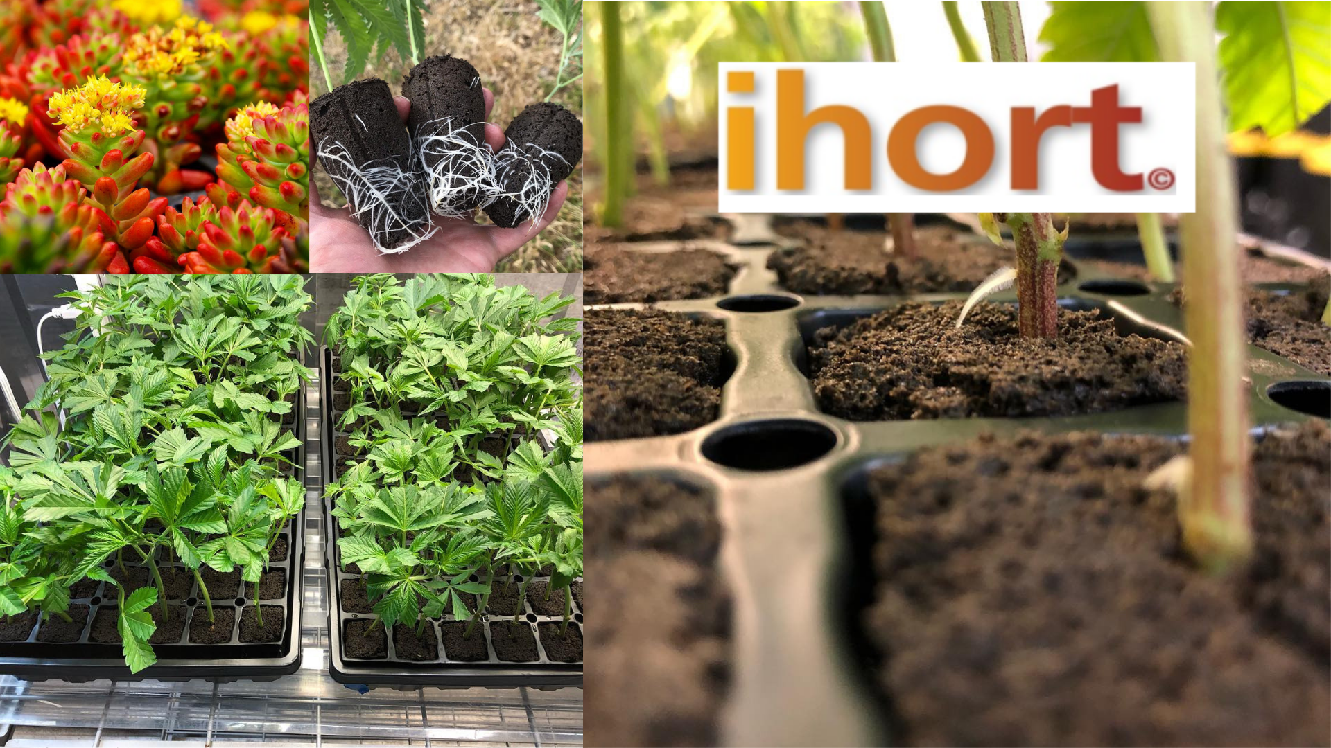 ihort : Horticultural Technology for Plant Cultivation