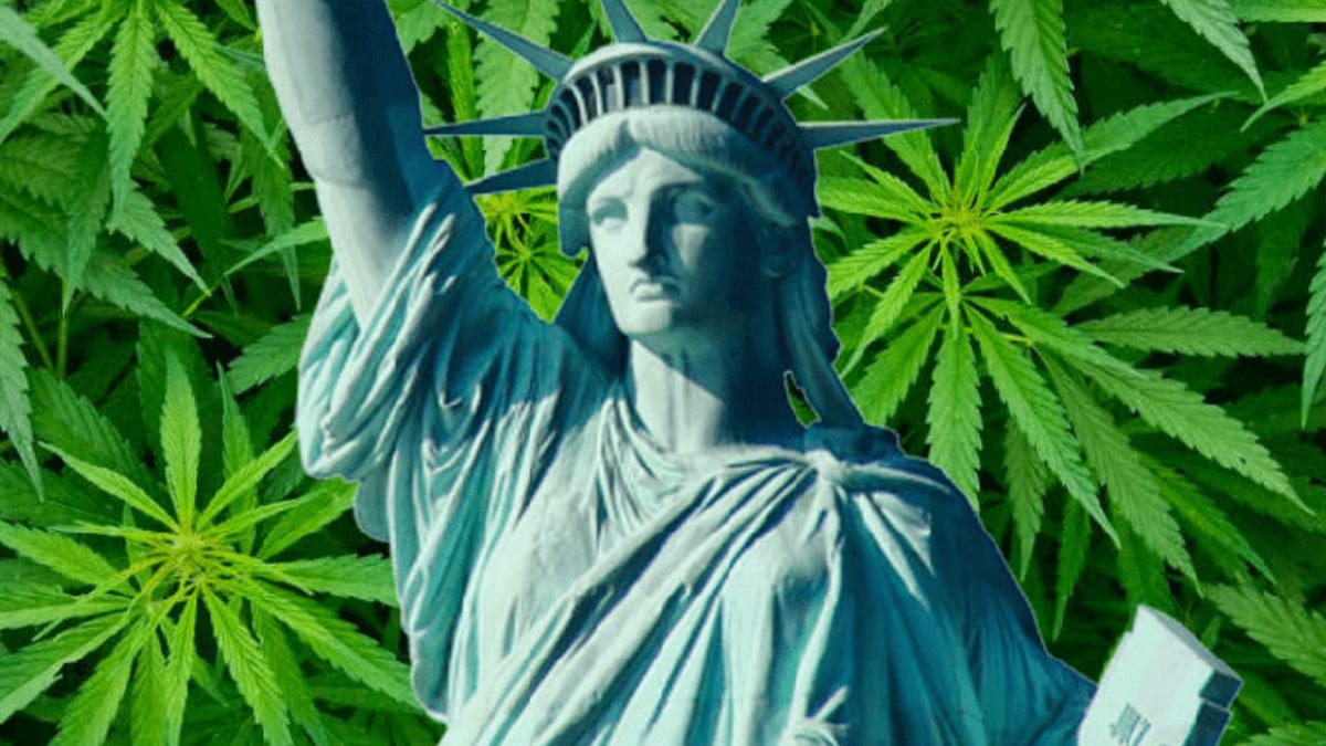 Politics of Pot: New York Decriminalizes Down To Fine-Only For Cannabis