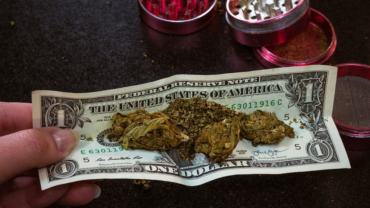 WeedStock Report: 2019 Investments In Cannabis Stocks To Top $16 Billion