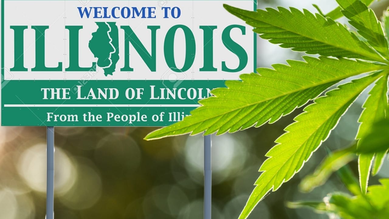 Cannabis Events in Illinois 2020