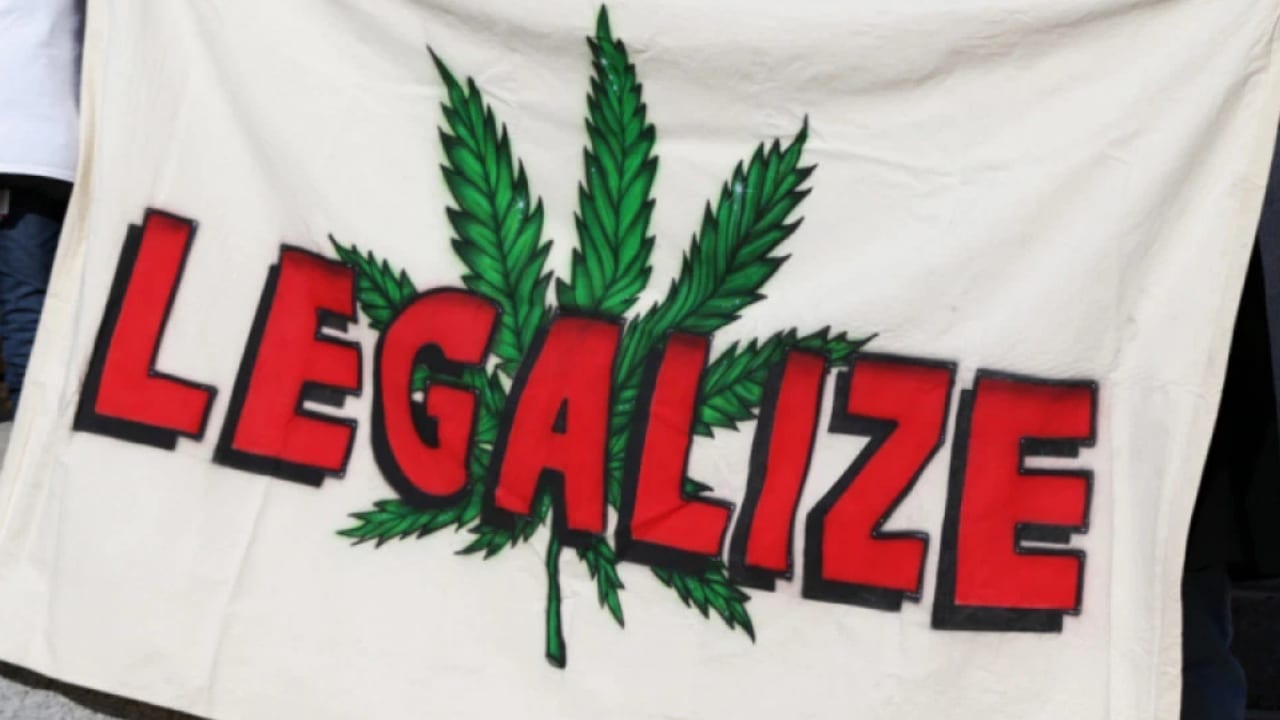 Marijuana Legalization : A Candidate Report Card