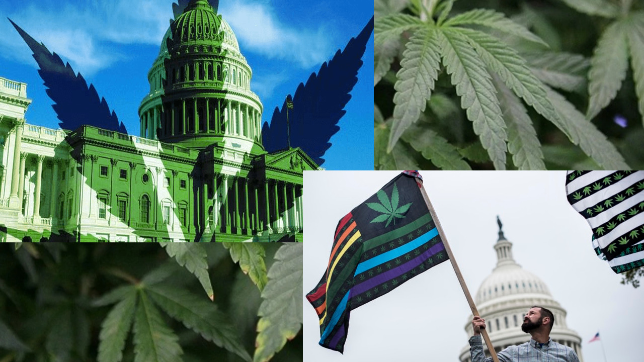 Washington, DC Legal Cannabis Market Still In Smoky Gray Area