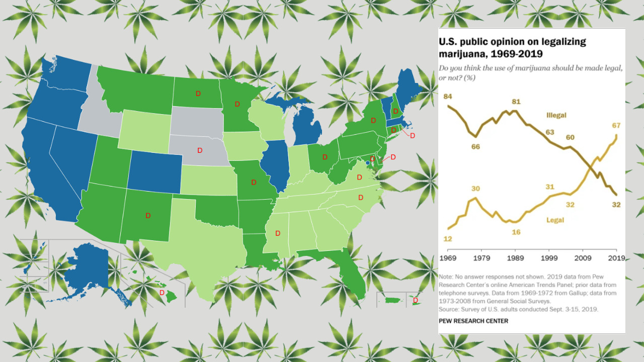 Cannabis on the Ballot : US Marijuana Legalization 2020