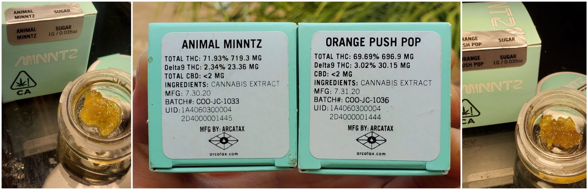 Minntz Extracts Review – Nice Effects and Taste