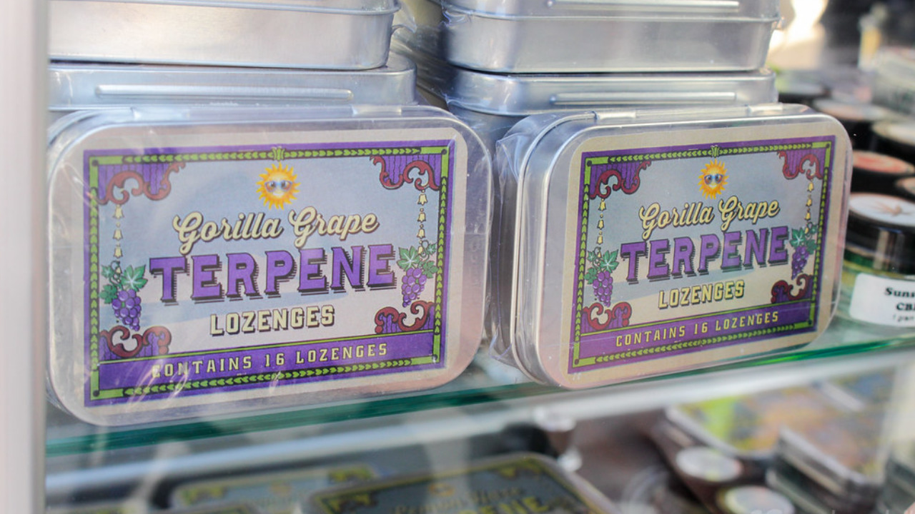 Terpenes and Cannabis : Twenty Facts That Will Surprise You