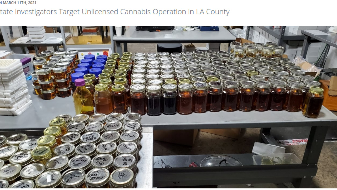 Unlicensed Dispensaries Actually Get Raided All the Time