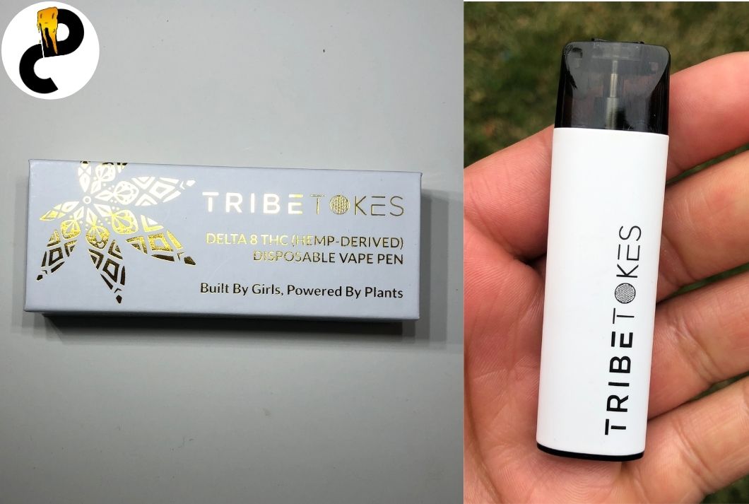 TribeTokes Disposable Review – Convenient D8 Vape Delivers Smooth & Light Hits