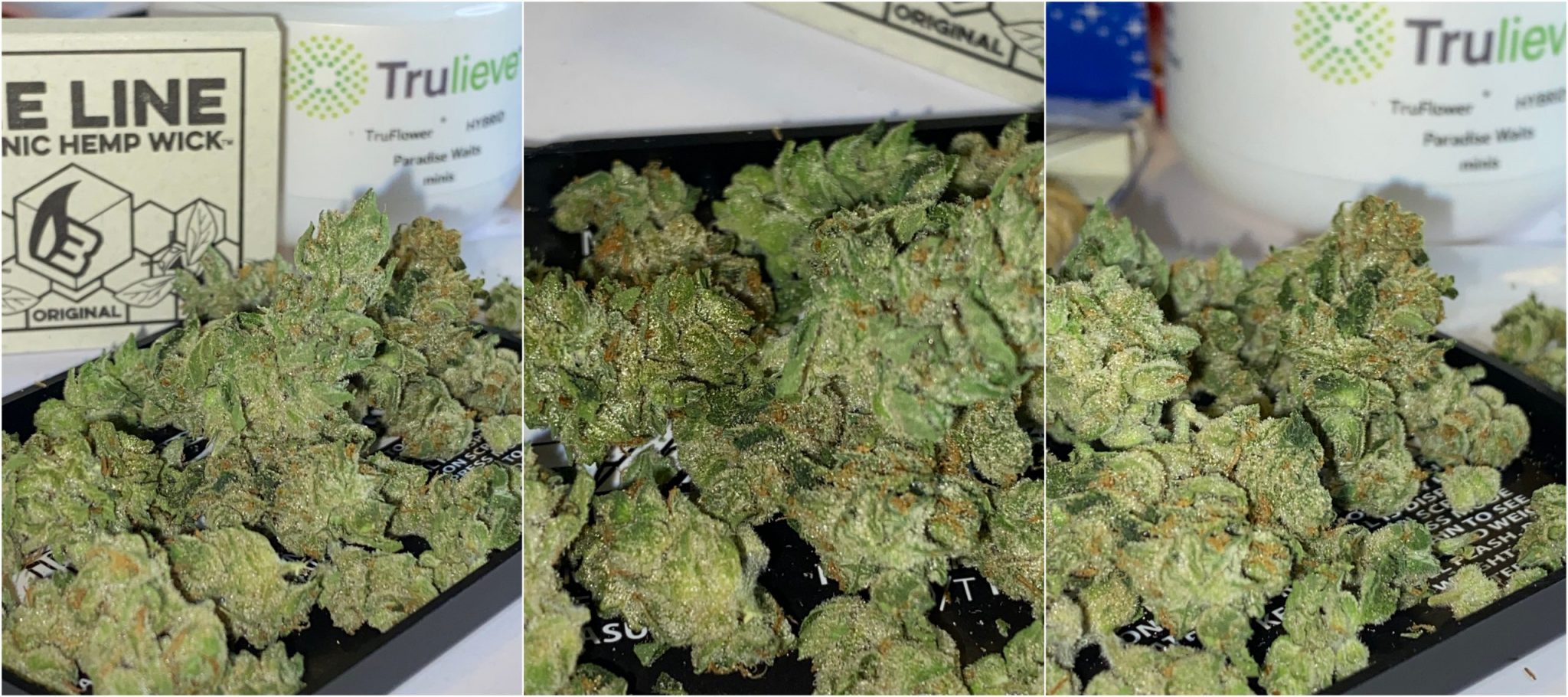 Trulieve Paradise Waits Flower Review – Good Quality and Smell