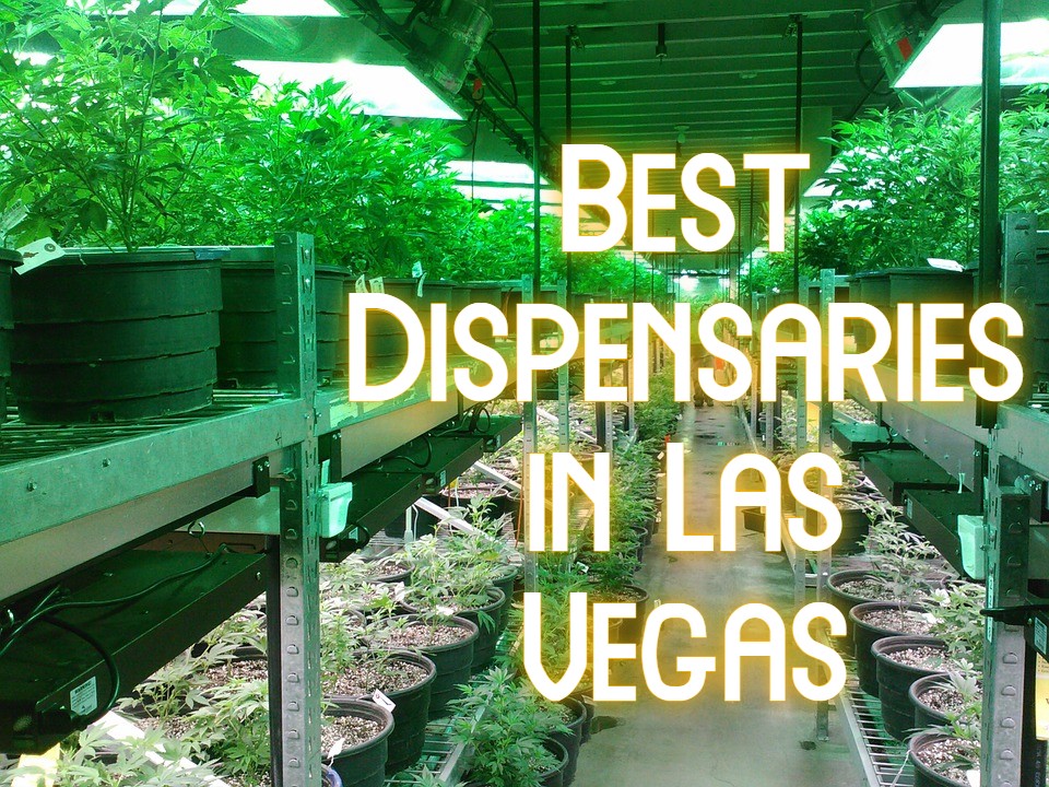 Best Dispensaries in Las Vegas 2022