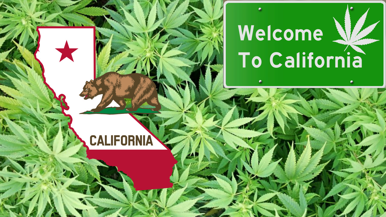 Top 10 Cali Weed : The Best Flower We Smoked in 2021