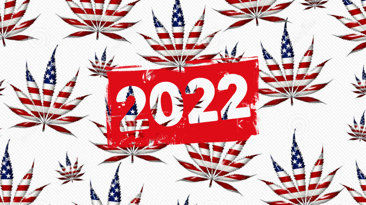 US Cannabis Legalization : January 2022