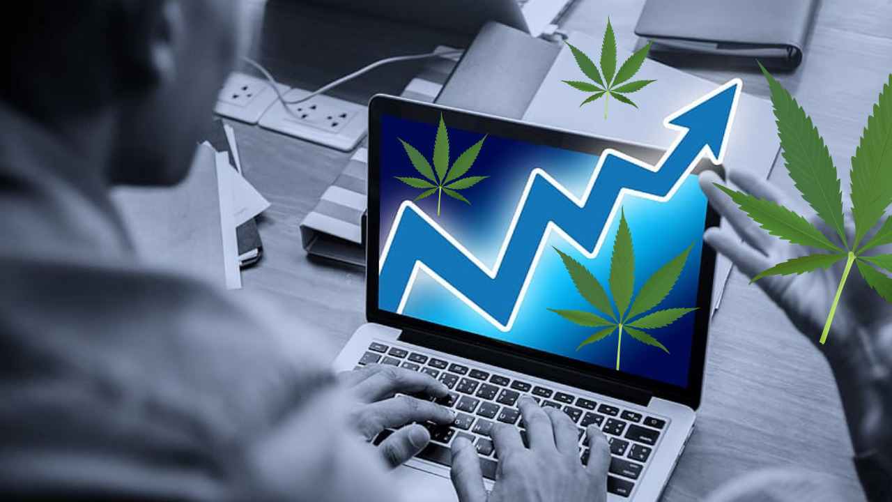 Exploring the US Cannabis Market With Search Trends