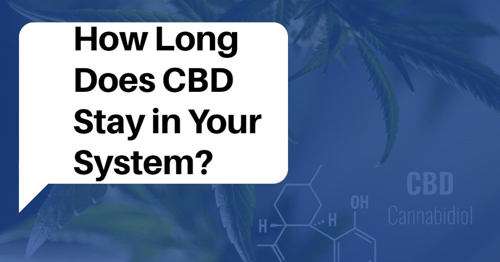 How Long Does CBD Stay in Your System?