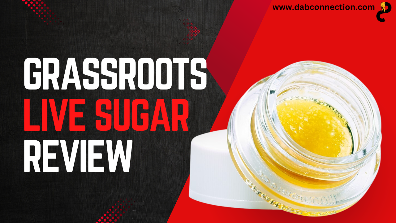 Grassroots Live Sugar Review – Long-lasting and Pleasant Taste