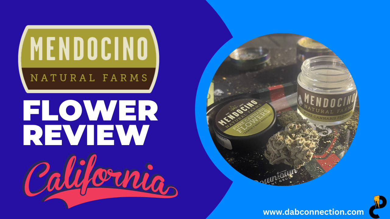 Mendocino Flower Review – Well Rounded