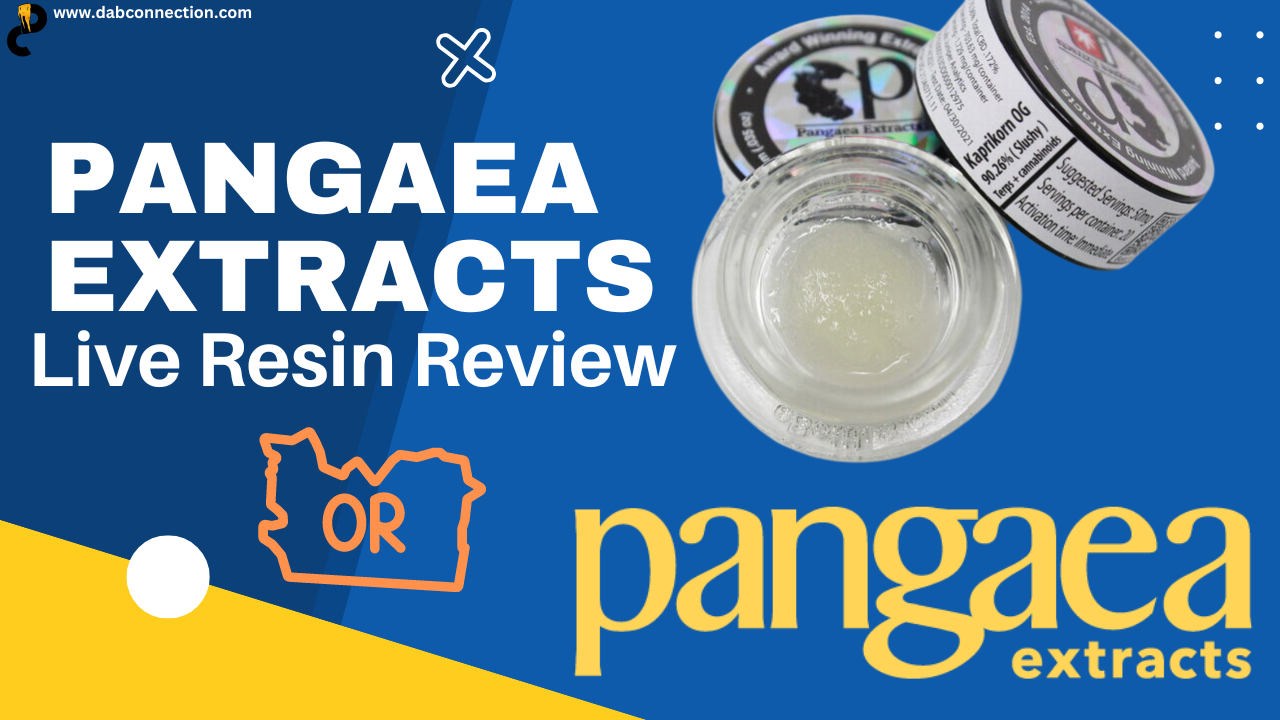 Pangaea Extracts Live Resin Review – Great Effects