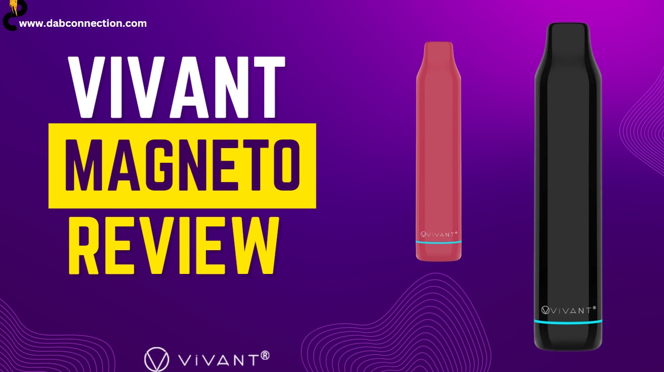 VIVANT MAGNETO Review – Modern and Minimalistic