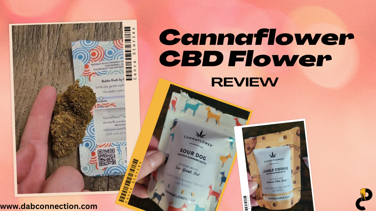 Cannaflower CBD Flower Review – A Flavor Bomb!