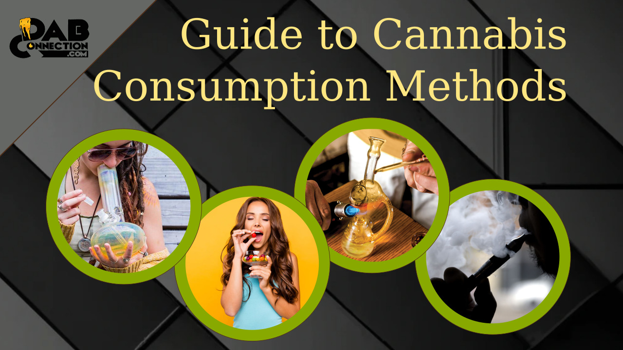 Comparison of Different Cannabis Consumption Mediums